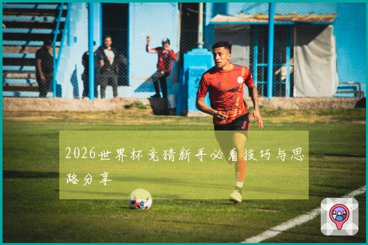 2026世界杯竞猜新手必看技巧与思路分享