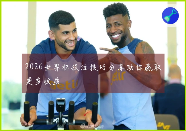 2026世界杯投注技巧分享助你赢取更多收益