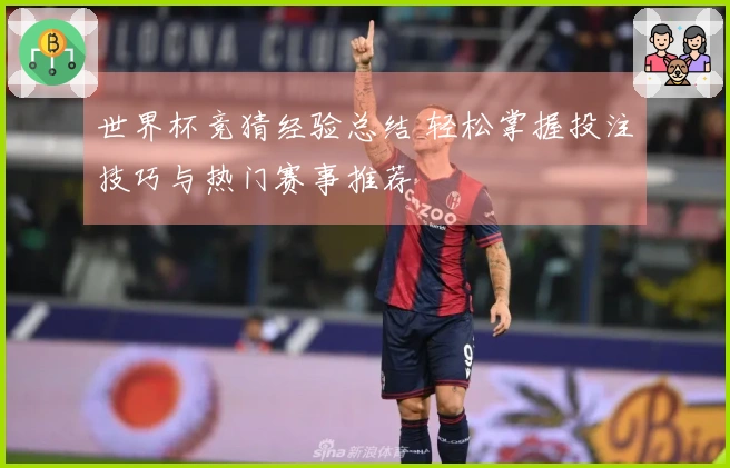 世界杯竞猜经验总结 轻松掌握投注技巧与热门赛事推荐