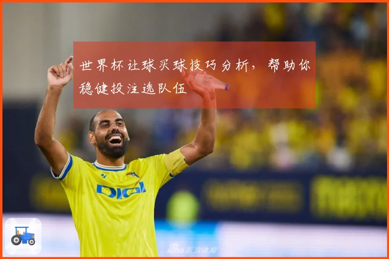 世界杯让球买球技巧分析，帮助你稳健投注选队伍