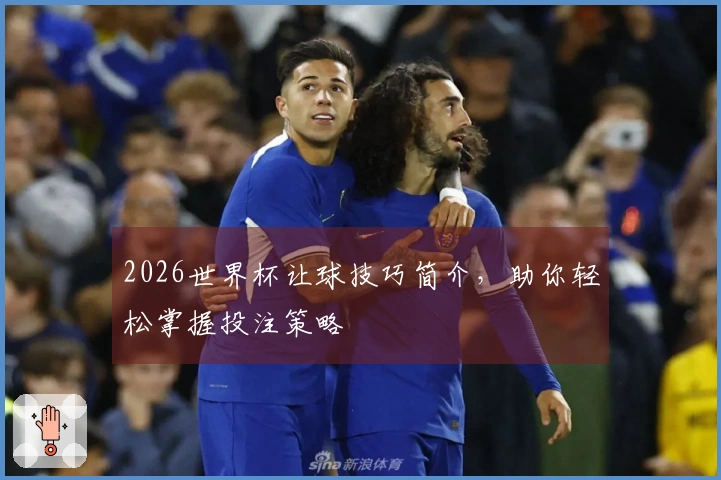 2026世界杯让球技巧简介，助你轻松掌握投注策略