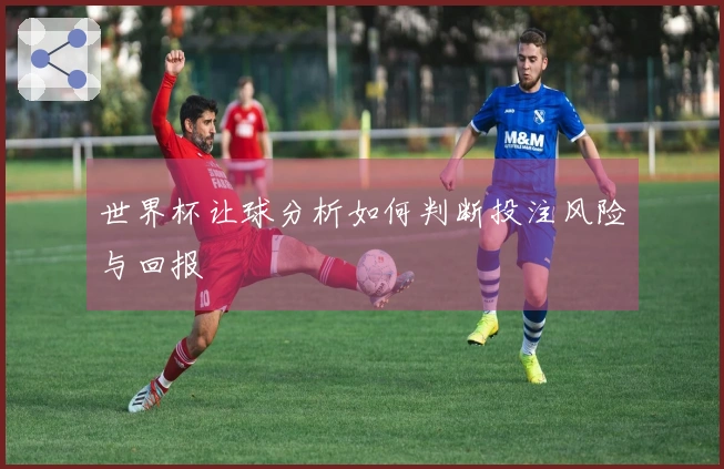 世界杯让球分析如何判断投注风险与回报