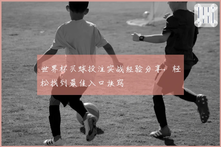 世界杯买球投注实战经验分享，轻松找到最佳入口诀窍