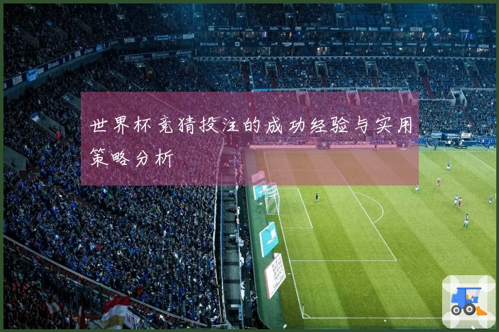 世界杯竞猜投注的成功经验与实用策略分析