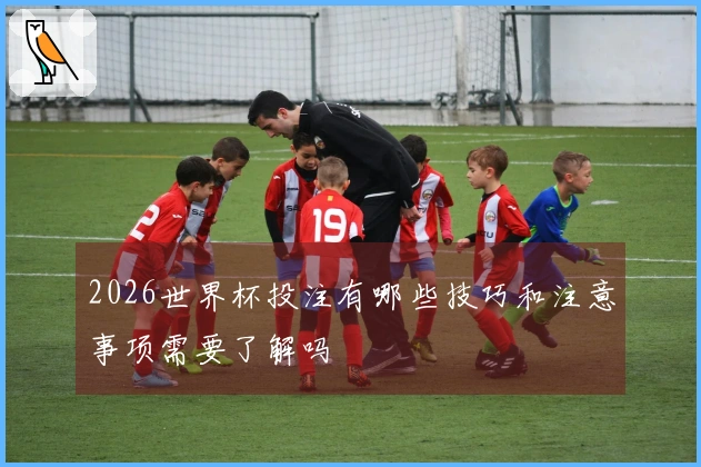 2026世界杯投注有哪些技巧和注意事项需要了解吗