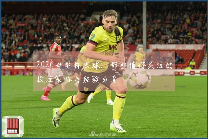 2026世界杯买球：那些值得关注的投注策略与经验分享