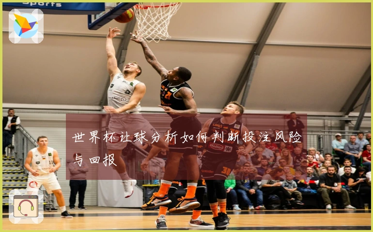 世界杯让球分析如何判断投注风险与回报