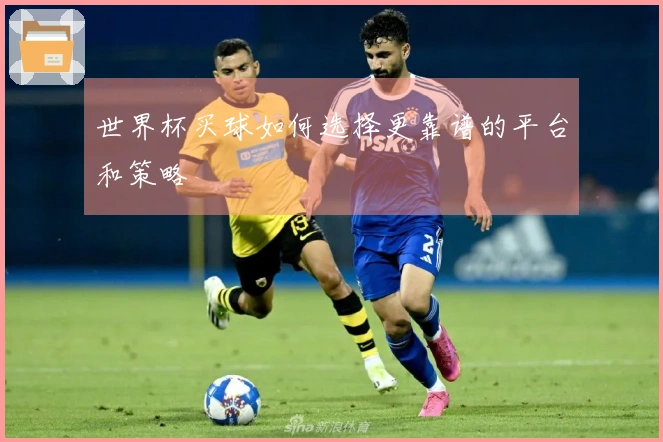 世界杯买球如何选择更靠谱的平台和策略