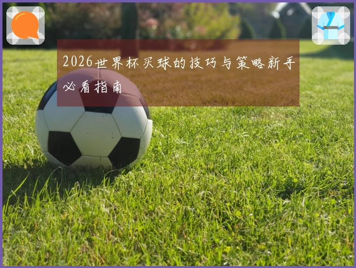 2026世界杯买球的技巧与策略新手必看指南