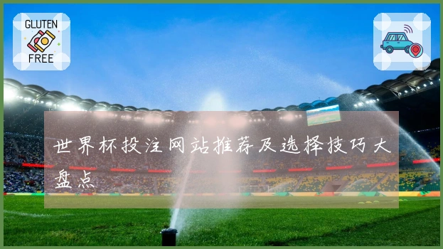 世界杯投注网站推荐及选择技巧大盘点
