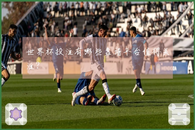 世界杯投注有哪些靠谱平台值得关注？