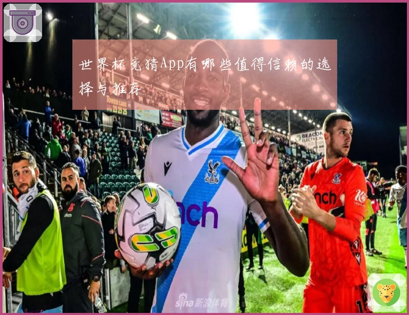 世界杯竞猜App有哪些值得信赖的选择与推荐