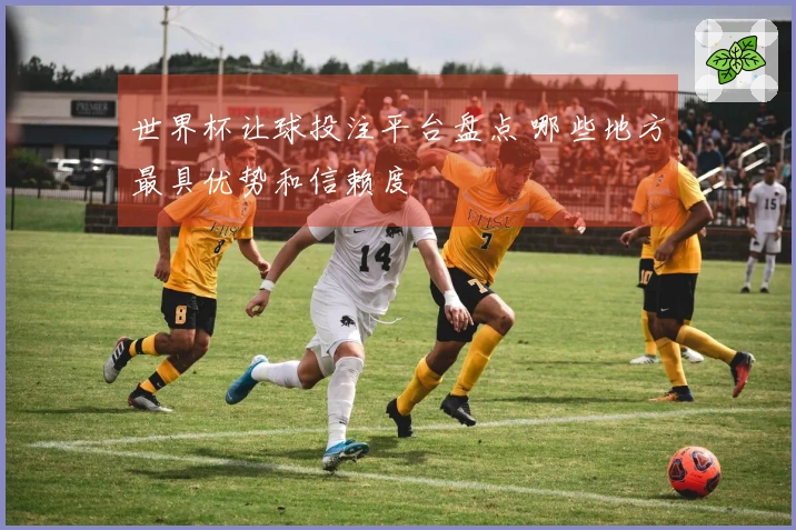 世界杯让球投注平台盘点 哪些地方最具优势和信赖度