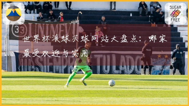 世界杯滚球买球网站大盘点：哪家最受欢迎与实用