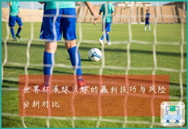 世界杯滚球买球的赢利技巧与风险分析对比