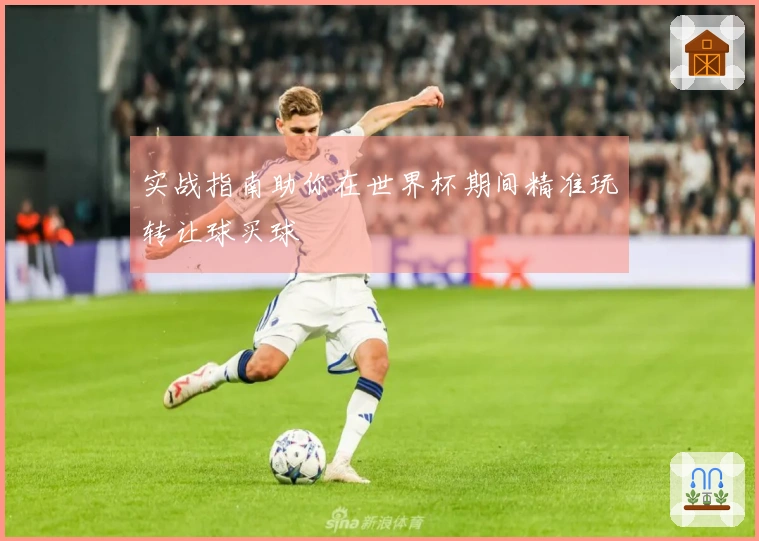 实战指南助你在世界杯期间精准玩转让球买球