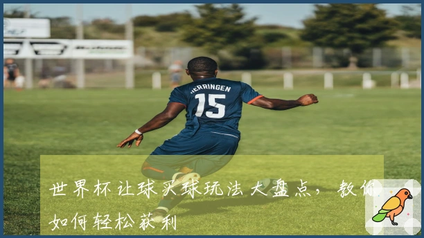 世界杯让球买球玩法大盘点，教你如何轻松获利